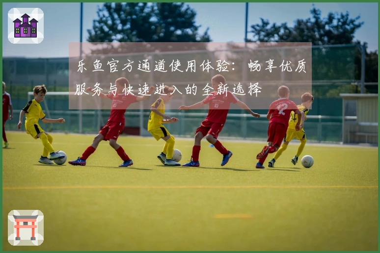 乐鱼官方通道使用体验：畅享优质服务与快速进入的全新选择
