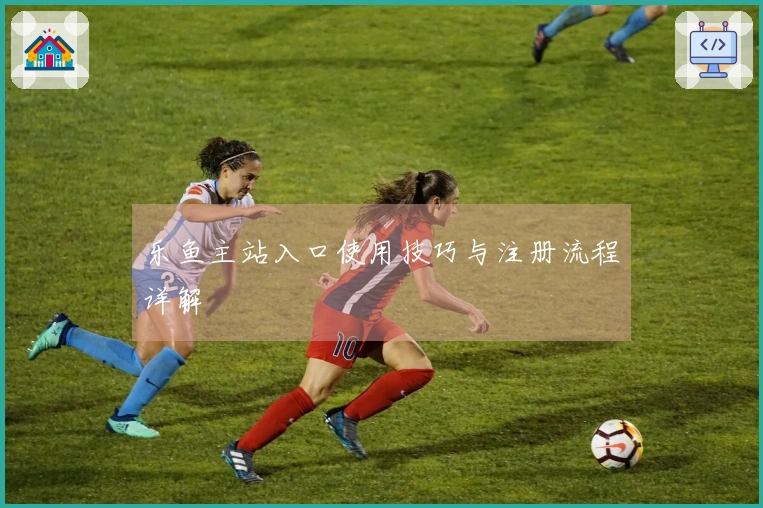 乐鱼主站入口使用技巧与注册流程详解