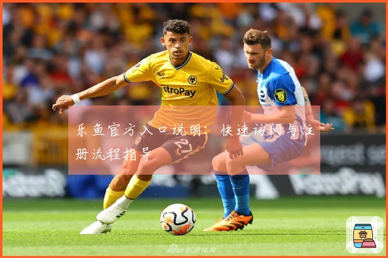 乐鱼官方入口说明:快速访问与注册流程指导