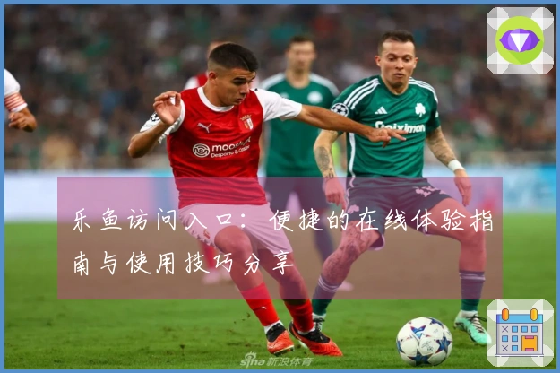 乐鱼访问入口：便捷的在线体验指南与使用技巧分享