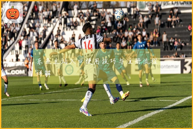 乐鱼主站入口使用技巧与注册流程详解
